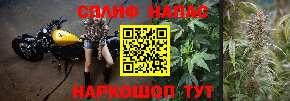 Бошки марихуана SATIVA & INDICA  Каннабис индика  Бошки Шишки THC 21%  Феодосия  Вход с VPN  Шишки марихуана SATIVA & INDICA 